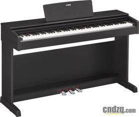 国产电钢琴视频大全  第1张